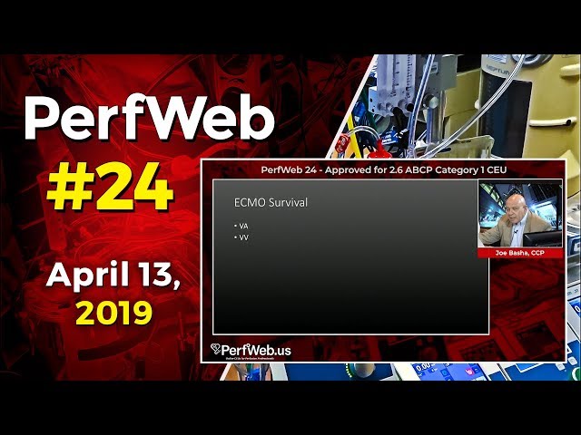 PerfWeb 24 Extracorporeal Membrane Oxygenation (ECMO) and Patient Survival