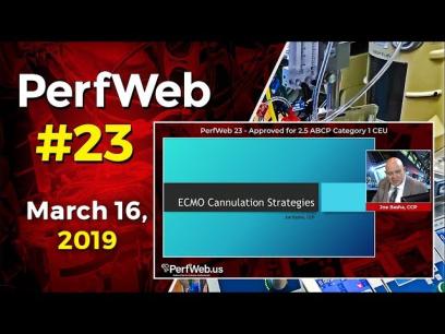 PerfWeb 23 ECMO cannulation strategies