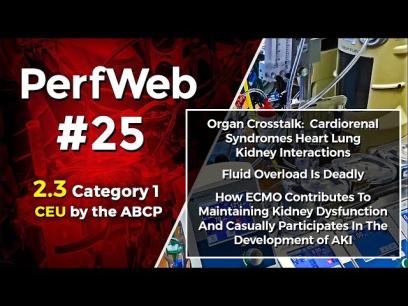 PerfWeb 25 – Renal Function, AKI, and Fluid Balance for the perfusionist - 2.0 Part 2
