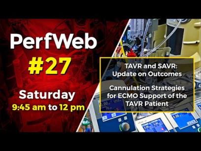 PerfWeb 27 TAVR - SAVR Update on outcomes; Cannulation strategies for ECMO - Day 3