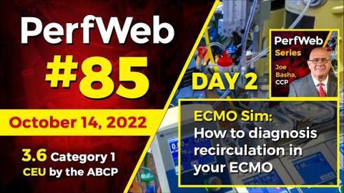 PerfWeb 85 - Day 2 - How to diagnosis recirculation in your ECMO circuit. Simulation