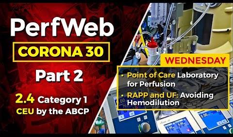 CORONA 30 Point of care laboratory for perfusion RAPP and UF: Avoiding hemodilution