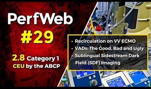PerfWeb 29 VV ECMO, VADs, and Sublingual incident dark field imaging