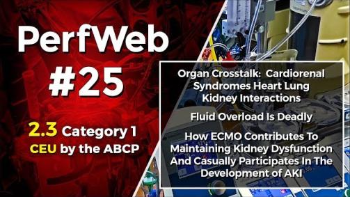 PerfWeb 25 – Renal Function, AKI, and Fluid Balance for the perfusionist - 2.0 Part 2